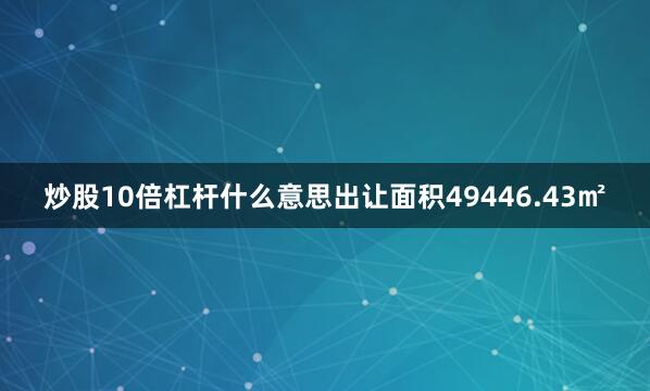 炒股10倍杠杆什么意思出让面积49446.43㎡