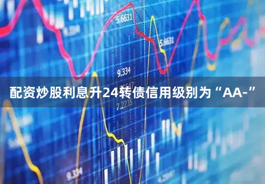 配资炒股利息升24转债信用级别为“AA-”