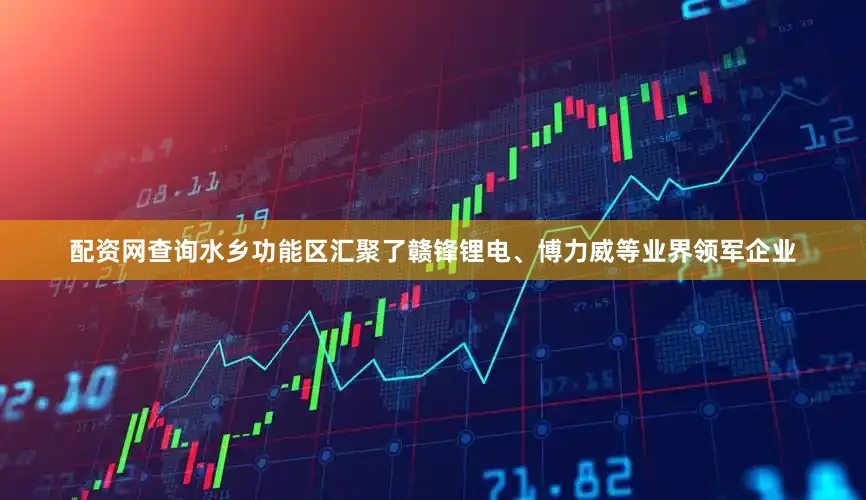 配资网查询　　水乡功能区汇聚了赣锋锂电、博力威等业界领军企业