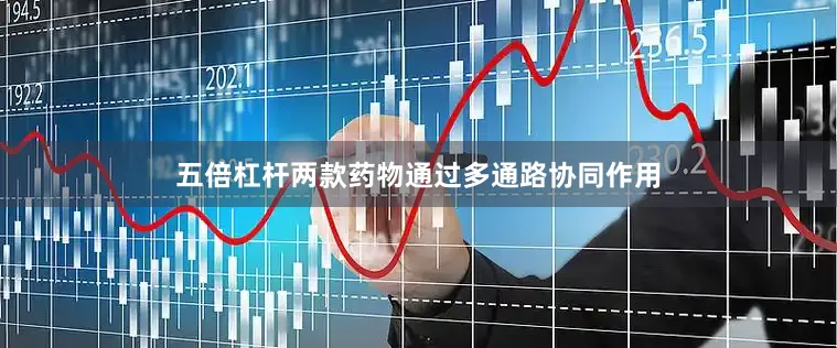 五倍杠杆两款药物通过多通路协同作用