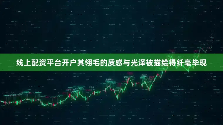 线上配资平台开户其翎毛的质感与光泽被描绘得纤毫毕现