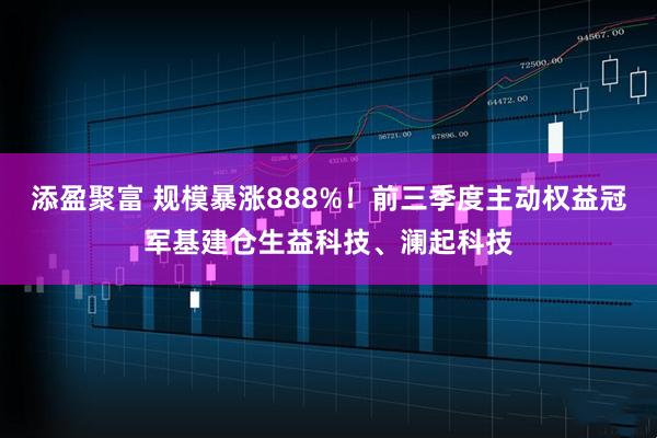 添盈聚富 规模暴涨888%！前三季度主动权益冠军基建仓生益科技、澜起科技